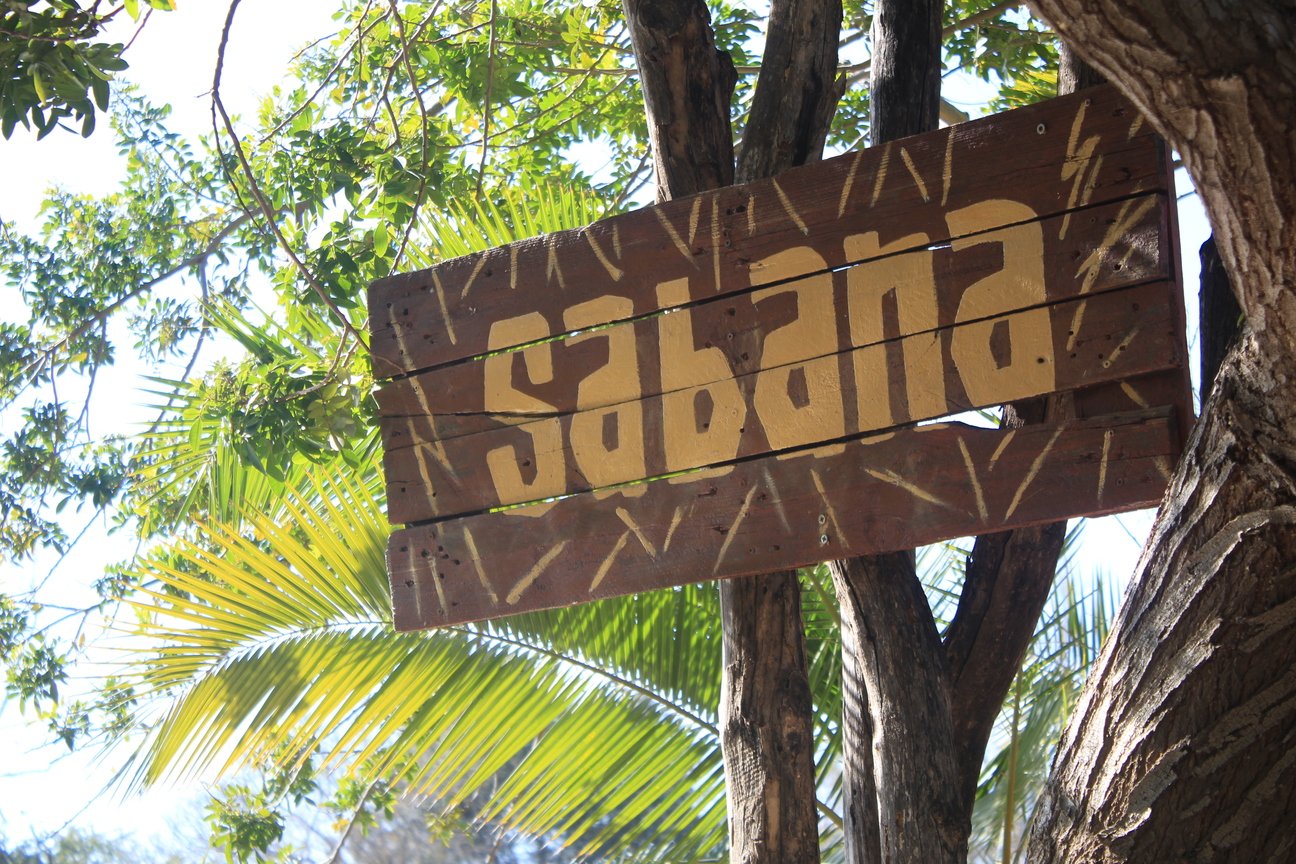 savana