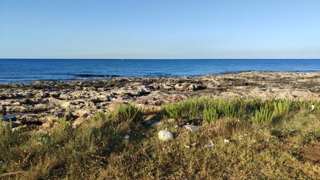 Immagine2