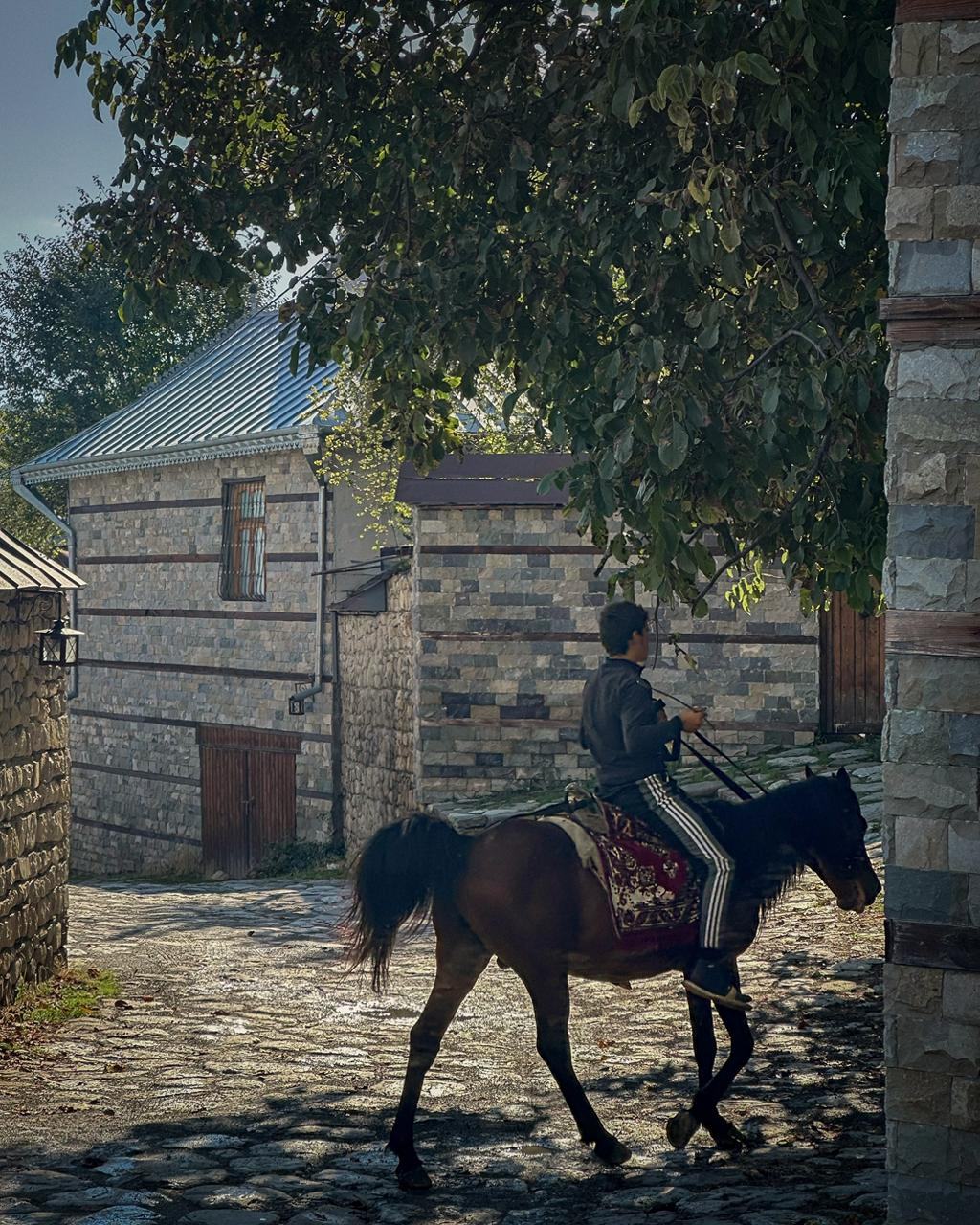 Ultimi