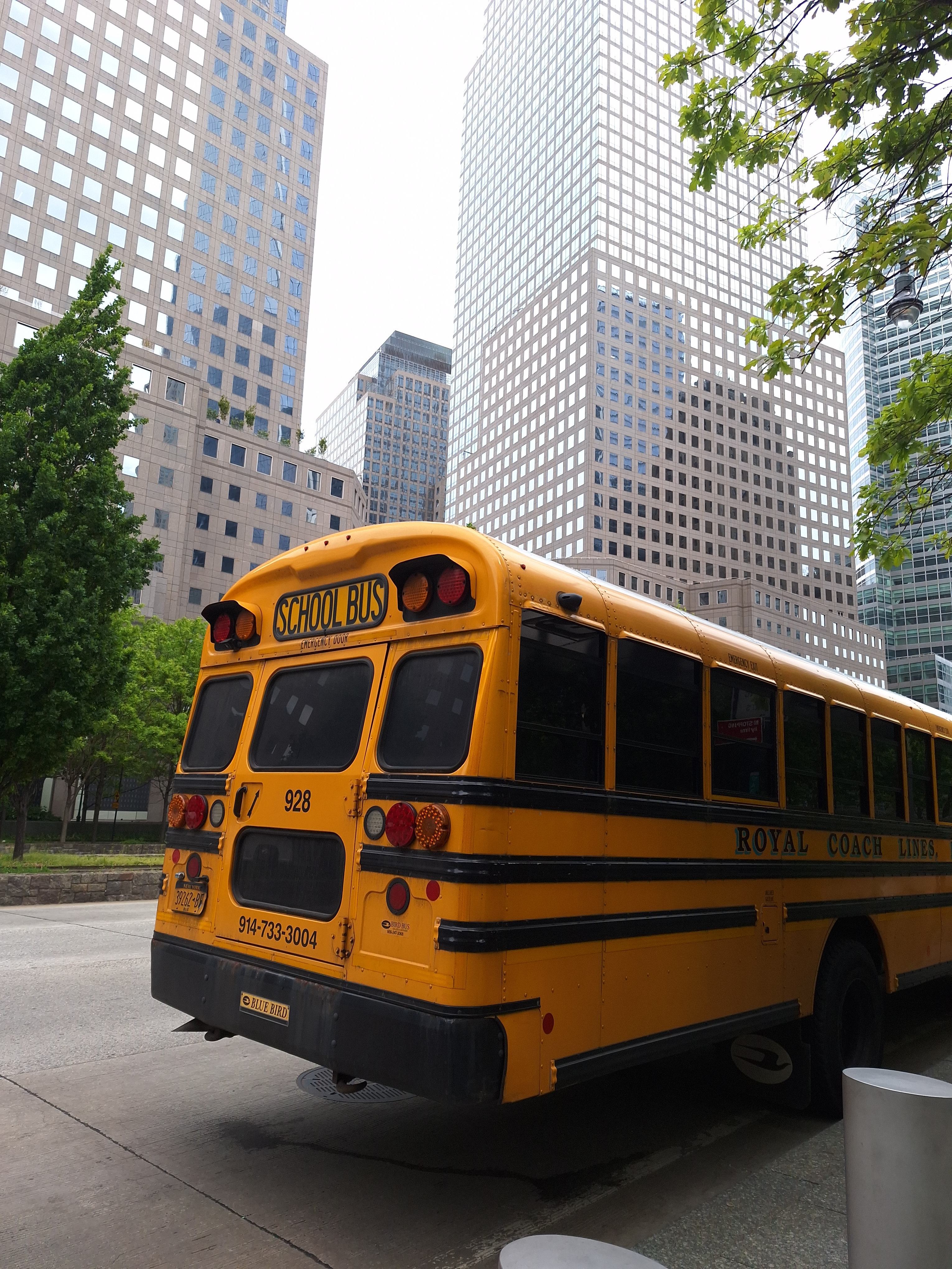 bus