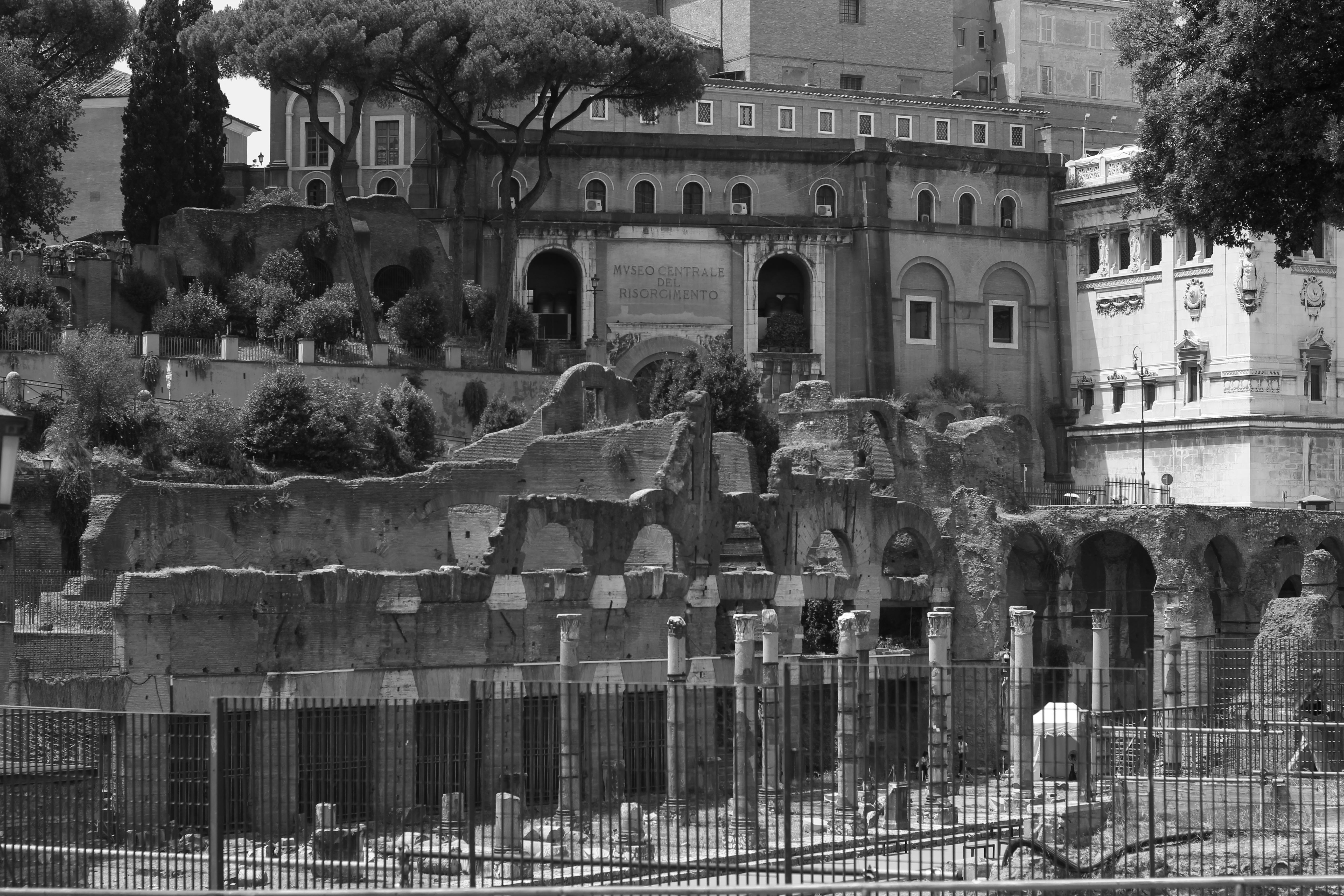scorcio