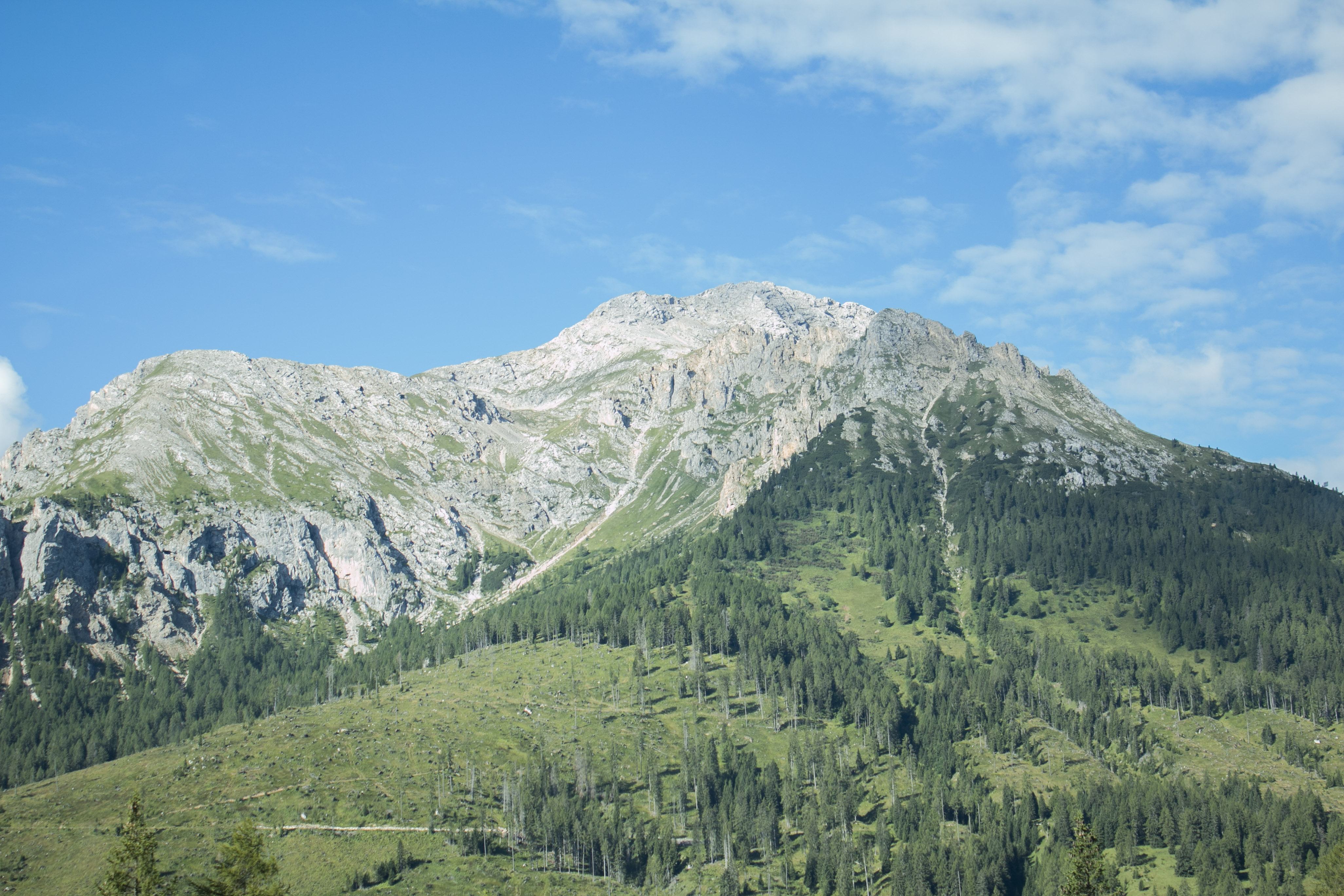 vetta