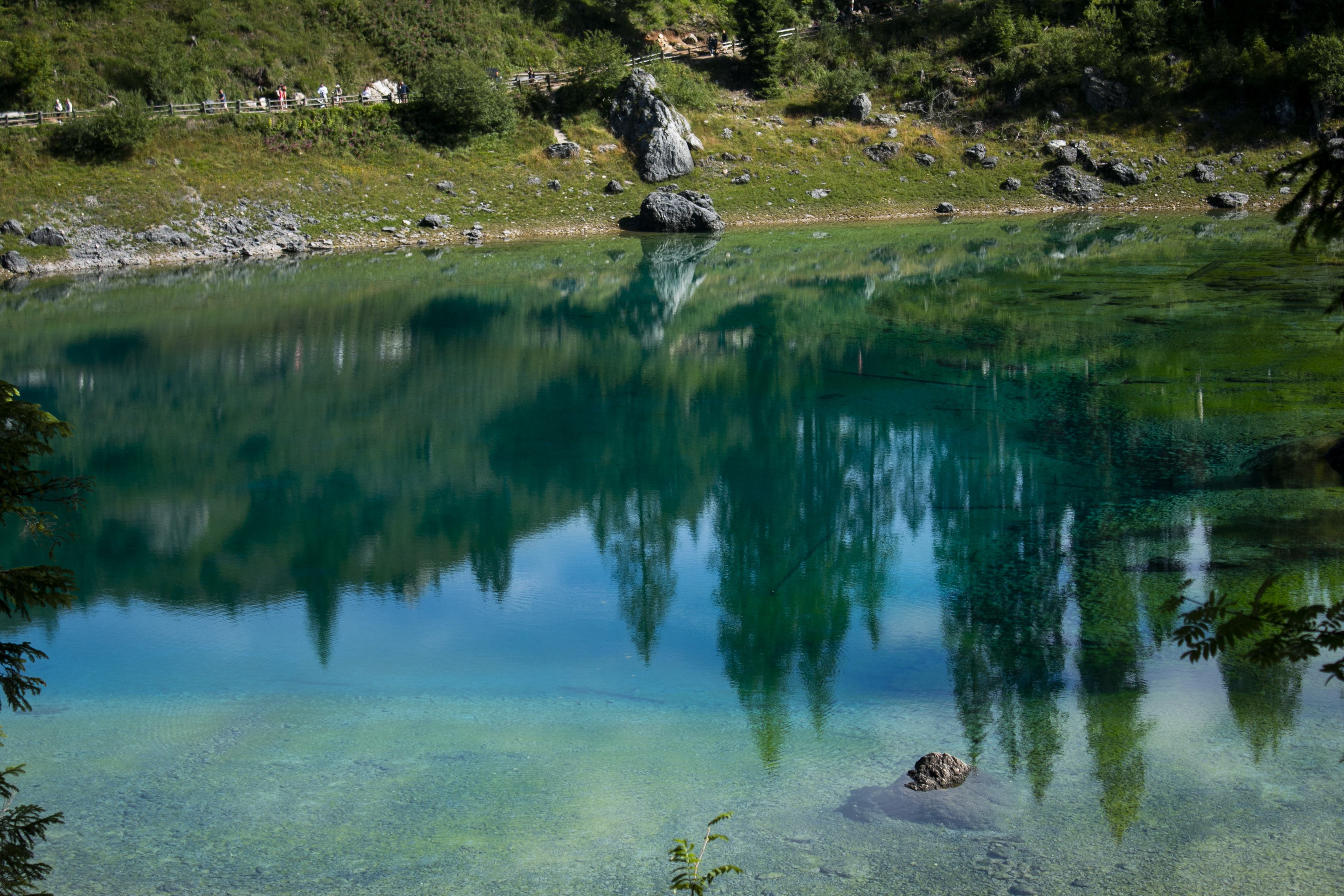 Alpino