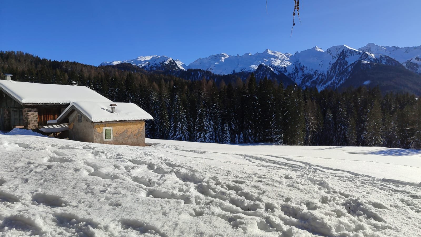 Dolomiti 7