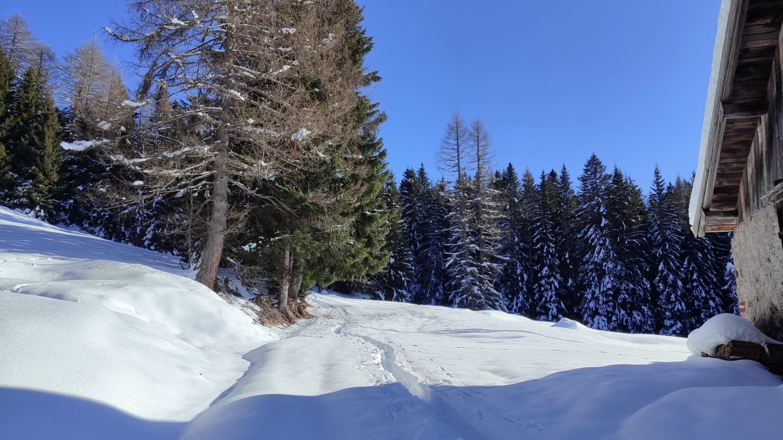 Dolomiti 5