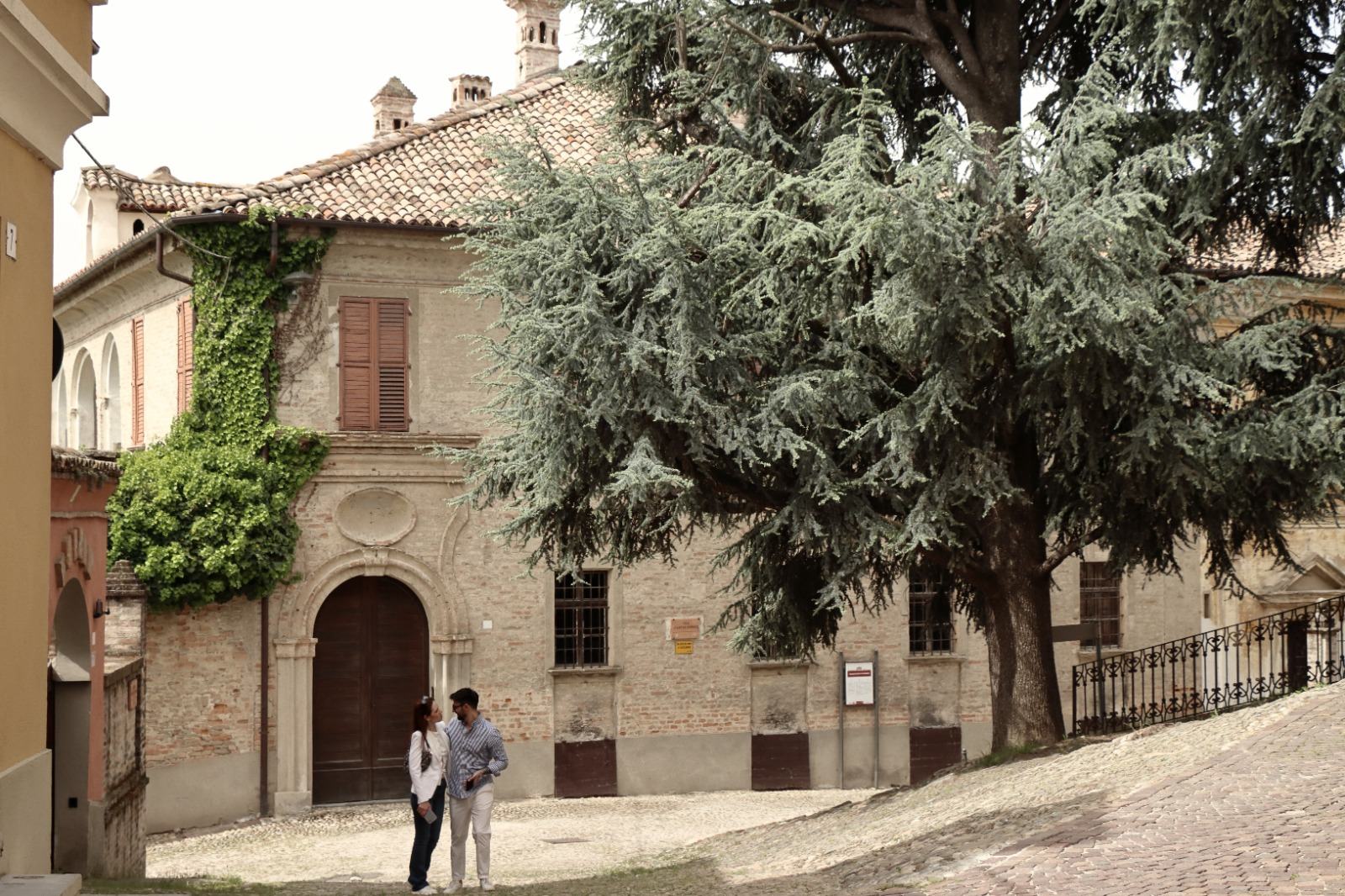 ulivo