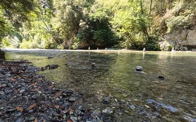 Tra Calabria e Basilicata: la meraviglia dell'Appennino Meridionale