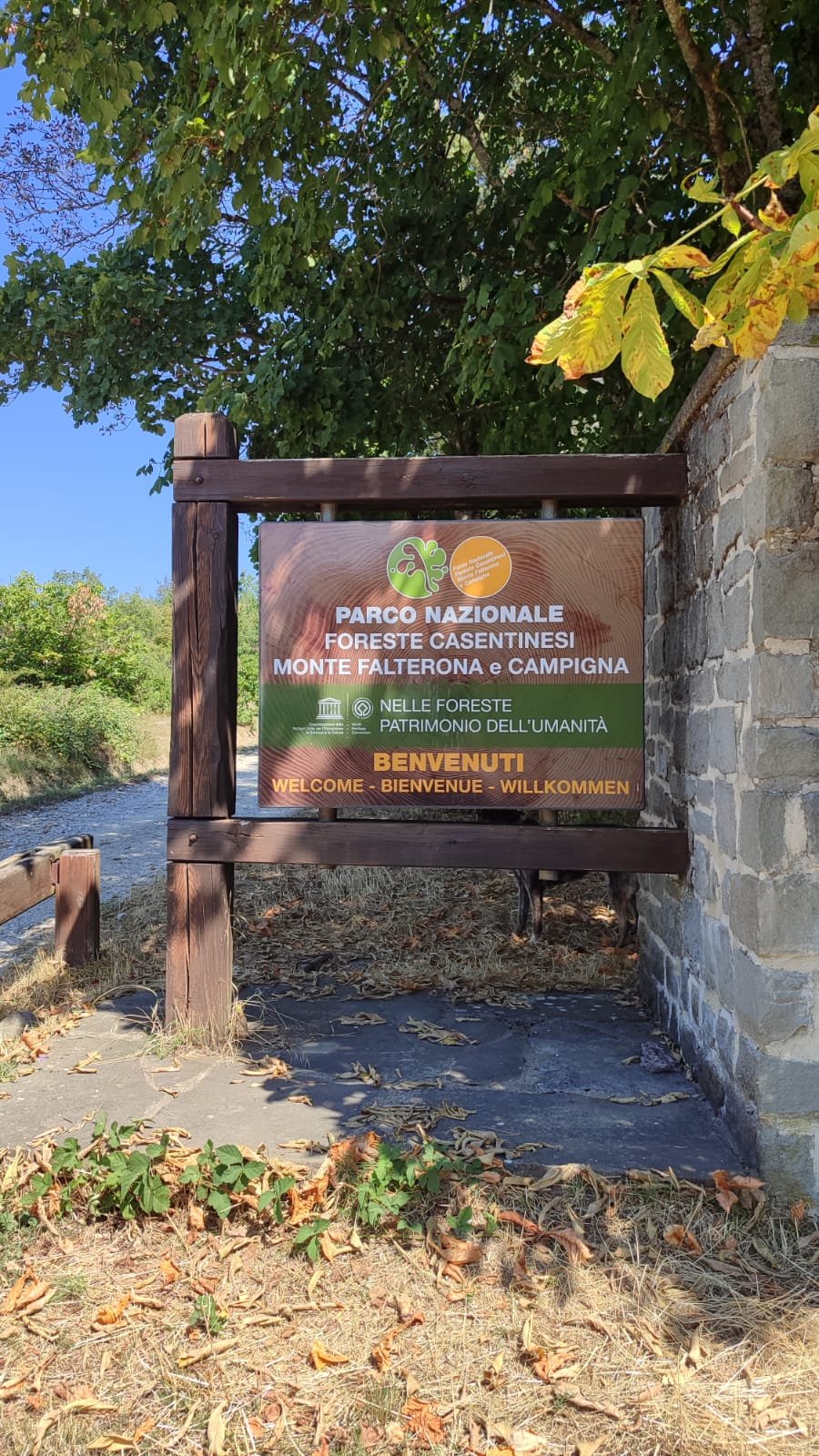 parco nazionale foreste casentinesi